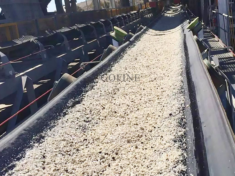 Lithium Ore Beneficiation Plant: Advanced Spodumene Processing Engineering 1 Lithium Ore Beneficiation Plant: Advanced Spodumene Processing Engineering